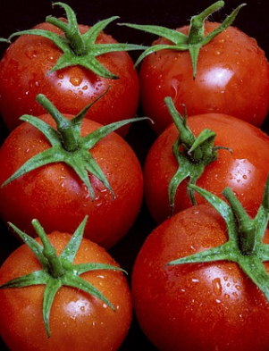 Tomatados